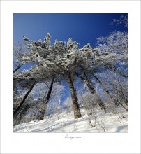 Tale of the New Year / ***