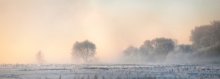 Frost, fog and sun - a wonderful day / ***