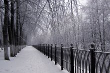 Snow-covered alley / ***