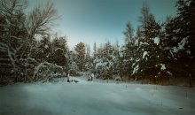 joy of Winter / joy of Winter