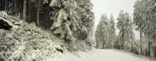 January in the mountains of the Black Forest / ***