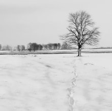 Footprints in the snow ... / ..................................