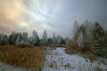 Gray day ... / 14.01.2013