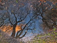 Whirlpool heaven ... / ***