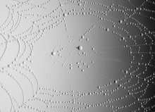 Autumn patterns / ***