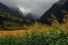 what whispering grass / Lahaina, Hawaii