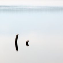 Landscape with two sticks / ***