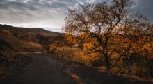 Autumn road / ***