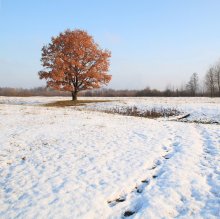First snow / ***