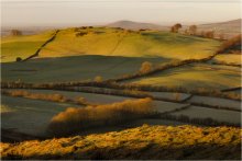 The shadows ... and walls and hills ... / ***