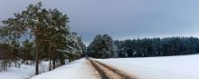 Road in winter / ********