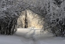 Winter Arch / ///