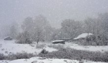 Snow / ///