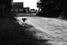 Street / ***