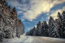 Road in winter / *******