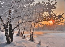 Winter Evening / ...