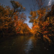 Escape from the river in the autumn ... / ***