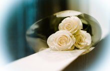 the holiday ... / ***