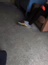 tale of a gray goat / ********