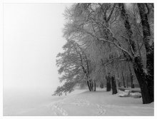 Fog over NAROCH / ***