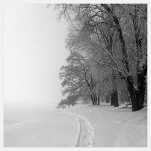The Winter&#39;s Tale / ***