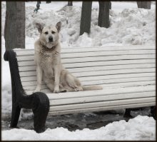 I sit here ... / ***
