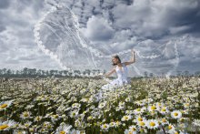 Daisies !! WIND !!! HAPPINESS !!))) / ***