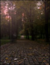 Autumn in the park / ***