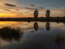 Evening at Taize / ***