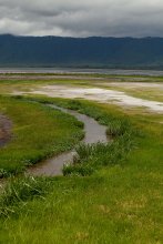 Valley of the Ngorongoro / ***