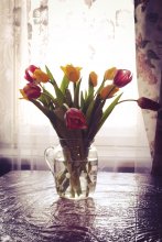 flower festival / ***
