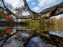 Morning in the park Shuvalov / ***