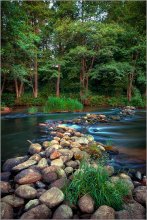 The smell of fresh / ***