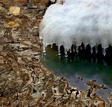 Torrents of Spring / ***