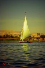 Walk along the Nile. / ***