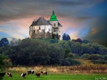 castle in Olesko / ***