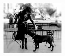 Lady and Dog / ***
