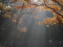 Morning at the lake / ***