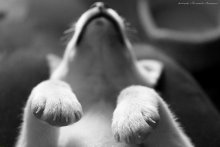 Sleeping ... / ...