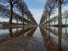 Spring in Peterhof. April / ***