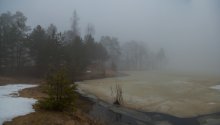 In the fog / ***