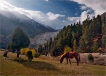 Among the mountains / ***