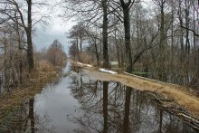 Flooding on Polesse / ***