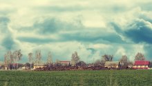 Country Landscape / ***