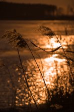 Evening / *****
