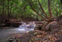 Inhaling the freshness of the forest / ***