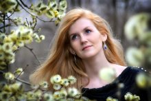 The long-awaited spring ... 2 / ****************