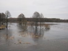 High water on the Mukhavets / ***