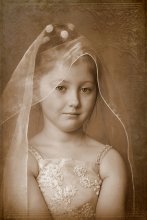 The girl in the veil / ***