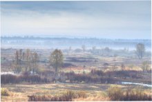 Fog / ***